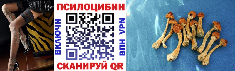 наркота  Новоаннинский  Галлюциногенные грибы Psilocybe 